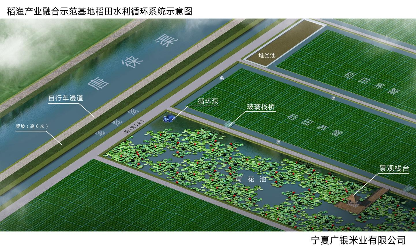 图片 4.png